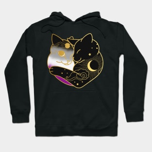 Asexual Celestial Cat Heart Hoodie